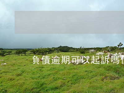 負債逾期可以起訴嗎(債務逾期訴訟)