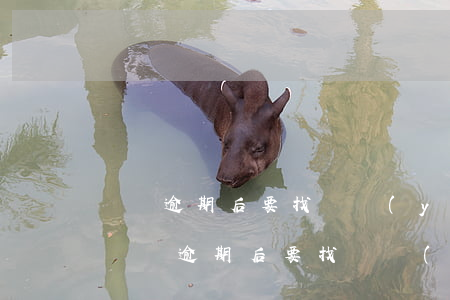 負債逾期后要找專業(yè)的人處理嗎-負債逾期后要找專業(yè)的人處理嗎知乎