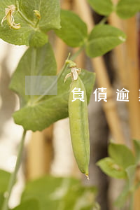 負債逾期后還不起 逾期還不起怎么辦