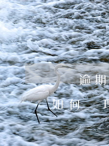 負債逾期如何理清你的債務(wù)-負債如何處理
