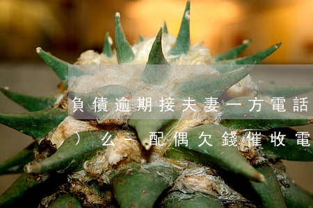 負債逾期接夫妻一方電話算失聯(lián)么-配偶欠錢催收電話打到單位