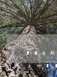 負債逾期，警惕！你的財務(wù)狀況可能正走向負債逾期的深淵