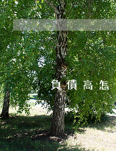 負債高怎么上岸快-負債高怎么上岸快一點