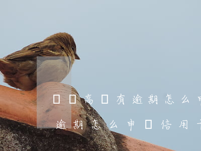 負債高沒有逾期怎么申請信用卡(負債高沒有逾期怎么申請信用卡)