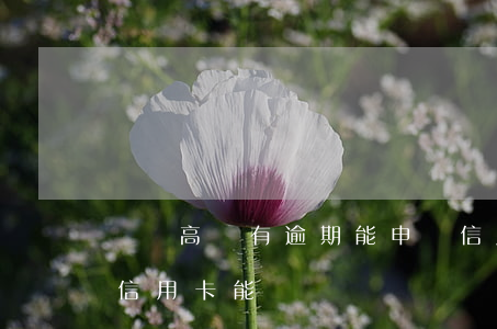 負債高沒有逾期能申請信用卡嗎(有負債申請信用卡能過嗎)