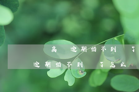 負債高無逾期借不到錢了怎么辦-負債高無逾期借不到錢了怎么辦呢
