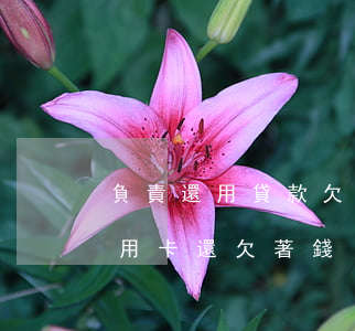 負責還用貸款欠信用卡-銀行貸款的時候信用卡還欠著錢