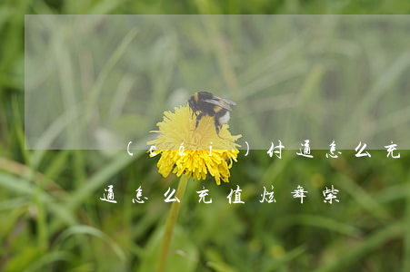 財(cái)付通怎么充值(財(cái)付通怎么充值炫舞紫鉆)