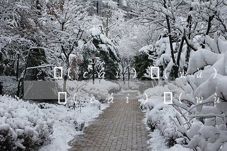 財(cái)務(wù)合同糾紛如何處理(財(cái)務(wù)糾紛多少錢可以起訴)