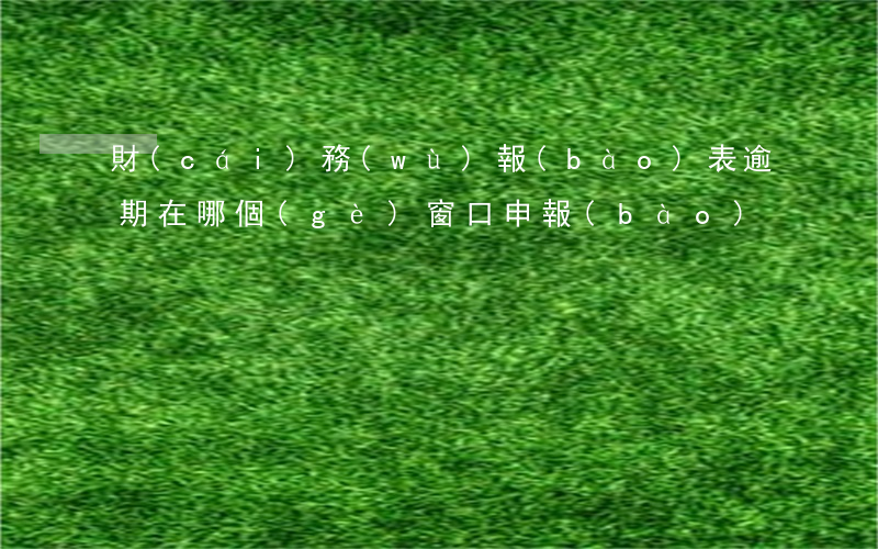 財(cái)務(wù)報(bào)表逾期在哪個(gè)窗口申報(bào)