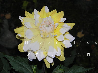 財(cái)務(wù)報(bào)銷制度(財(cái)務(wù)報(bào)銷制度)