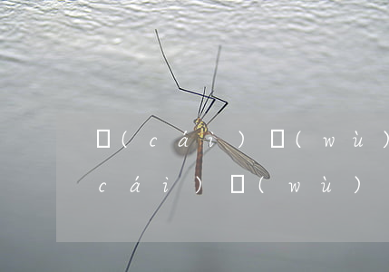財(cái)務(wù)糾紛線上處理(財(cái)務(wù)糾紛線上處理)