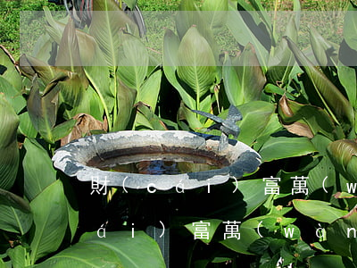 財(cái)富萬(wàn)卡欠貸(財(cái)富萬(wàn)卡欠貸)