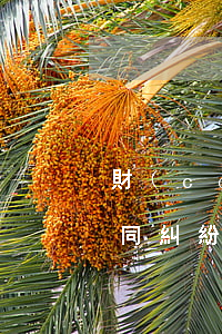 財(cái)會(huì)服務(wù)合同糾紛如何處理