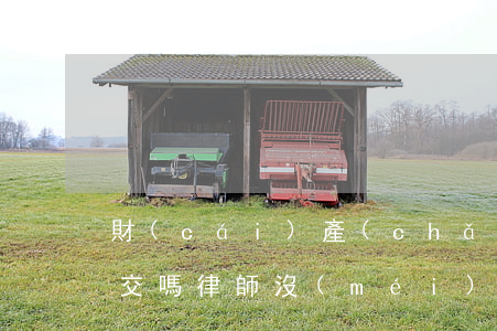 財(cái)產(chǎn)保全要律師提交嗎(律師沒(méi)有申請(qǐng)保全需要賠償嗎)