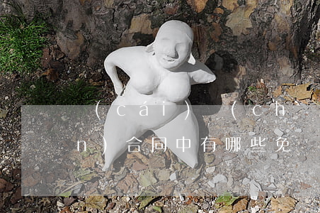 財(cái)產(chǎn)保險(xiǎn)合同中有哪些免責(zé)條款