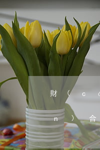財(cái)產(chǎn)保險(xiǎn)合同中給付保險(xiǎn)賠償金須遵守哪些原則