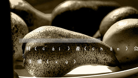 財(cái)產(chǎn)公證需要什么手續(xù)
