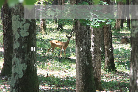 財(cái)產(chǎn)分割協(xié)議