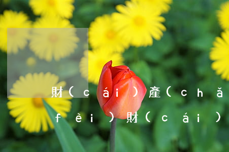 財(cái)產(chǎn)分割律師費(fèi)(財(cái)產(chǎn)分割離婚律師費(fèi))