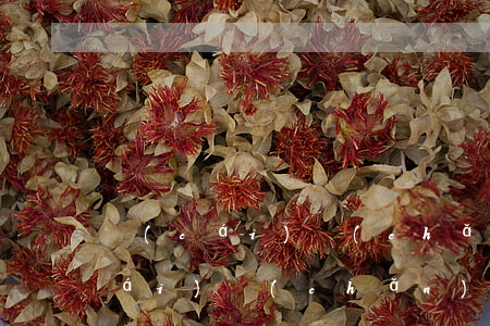 財(cái)產(chǎn)分割法(財(cái)產(chǎn)分割法律有哪些)