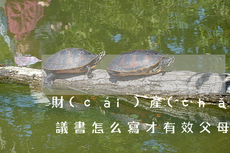 財(cái)產(chǎn)協(xié)議書怎么寫才有效(父母財(cái)產(chǎn)協(xié)議書怎么寫才有效)