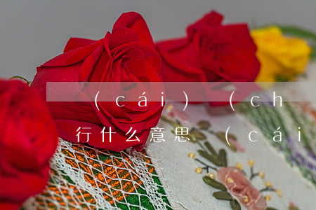 財(cái)產(chǎn)執(zhí)行什么意思(財(cái)產(chǎn)執(zhí)行什么意思)