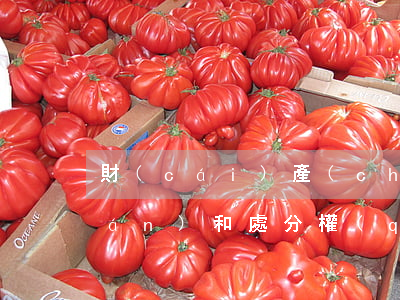 財(cái)產(chǎn)收益權(quán)和處分權(quán)是怎樣的