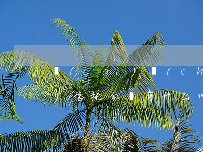 財(cái)產(chǎn)權(quán)信托分類有什么以及財(cái)產(chǎn)權(quán)信托的特性（財(cái)產(chǎn)權(quán)信托的特性）