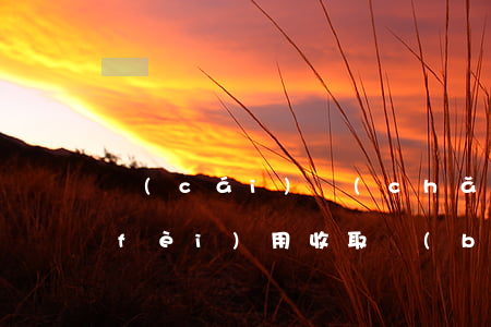 財(cái)產(chǎn)糾紛律師費(fèi)用收取標(biāo)準(zhǔn)2021（財(cái)產(chǎn)債務(wù)糾紛律師介紹）