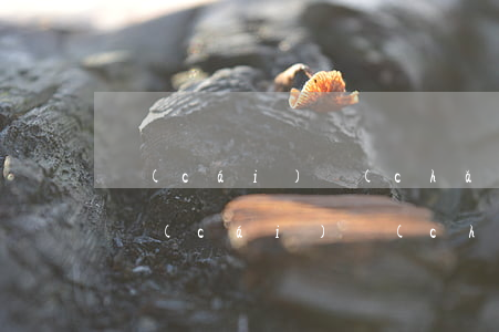 財(cái)產(chǎn)糾紛怎么起訴(財(cái)產(chǎn)糾紛訴訟書怎么寫)