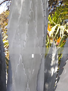 財(cái)產(chǎn)繼承公證費(fèi)是怎樣計(jì)算的