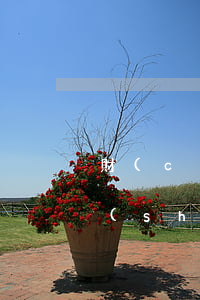 財(cái)產(chǎn)繼承叫什么書(shū)(財(cái)產(chǎn)繼承如何寫(xiě))
