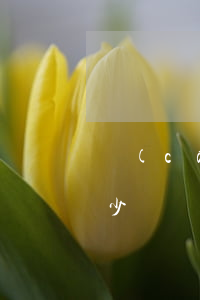 財(cái)產(chǎn)繼承官司要多少錢(財(cái)產(chǎn)繼承官司要多少錢)
