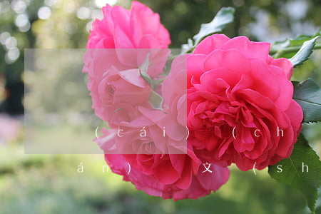 財(cái)產(chǎn)繼承權(quán)遺囑文書(shū)怎么寫(xiě)(財(cái)產(chǎn)繼承遺囑怎么寫(xiě)法律才有效)