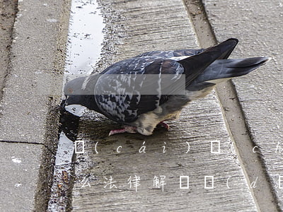 財(cái)產(chǎn)繼承糾紛由什么法律解決(當(dāng)財(cái)產(chǎn)繼承權(quán)發(fā)生爭(zhēng)議時(shí)怎么辦?)