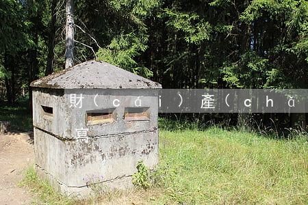 財(cái)產(chǎn)繼承說明怎么寫