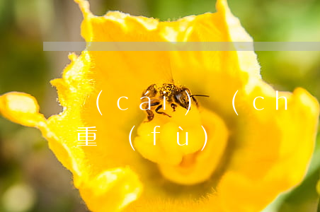 財(cái)產(chǎn)訴訟保全可以重復(fù)嗎(訴訟財(cái)產(chǎn)保全和訴前財(cái)產(chǎn)保全的相同)