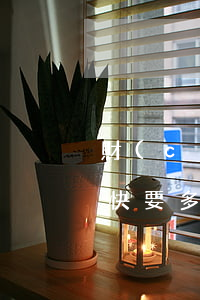 財(cái)產(chǎn)談不攏離婚最快要多久時(shí)間(離婚后多久財(cái)產(chǎn)不得有爭(zhēng)議)