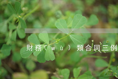 財務(wù)類合同三例