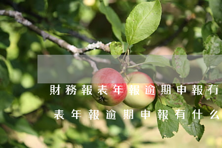財務報表年報逾期申報有什么影響-財務報表年報逾期申報有什么影響嗎