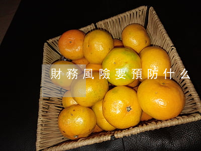 財務風險要預防什么