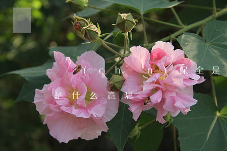 財產(chǎn)保全是律師做嗎(律師保全是什么意思)