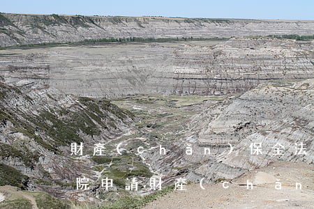 財產(chǎn)保全法院可以不受理嗎(法院申請財產(chǎn)保全有用嗎)
