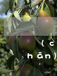 財產(chǎn)保全要交多少錢(財產(chǎn)保全要交多少錢給法院)