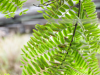 財產(chǎn)保全需要律師代理嗎(財產(chǎn)保全是律師做嗎)