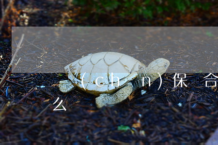 財產(chǎn)保險合同糾紛需要注意什么