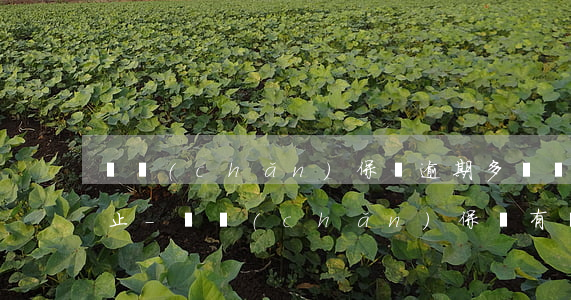 財產(chǎn)保險逾期多長時間合同終止-財產(chǎn)保險有寬限期嗎