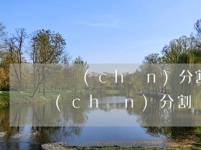 財產(chǎn)分割協(xié)議(財產(chǎn)分割協(xié)議樣本)