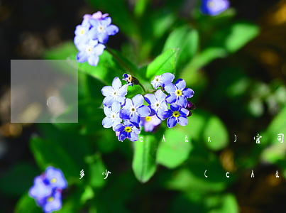 財產(chǎn)官司50000元律師費多少錢(財產(chǎn)200萬元律師費大概是多少?)
